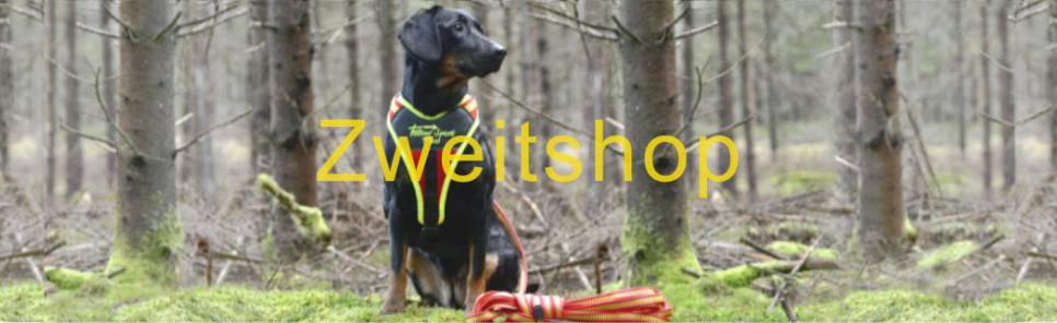 Hund mit Niggeloh Geschirr FOLLOW SPORT PLUS Hund mit Niggeloh Geschirr FOLLOW SPORT Plus sitzt am Waldrand