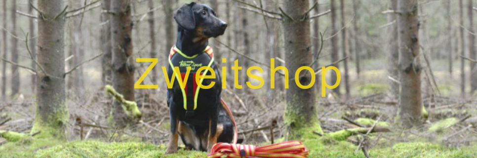 Hund mit Niggeloh Geschirr FOLLOW SPORT PLUS Ein Hund mit dem Niggeloh Geschirr FOLLOW Sport PLUS sitzt am Waldrand mit der Front zum Betrachter