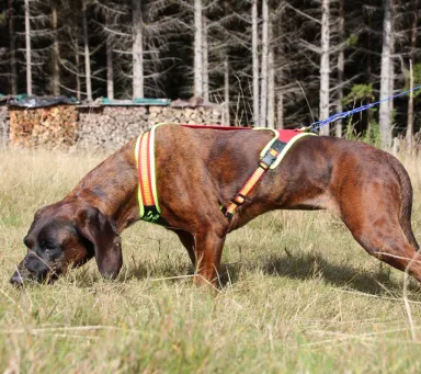 Hundeführgeschirr &bdquo;FOLLOW TRAIL“