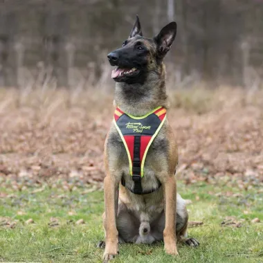 Dog Harness FOLLOW "Sport Plus"