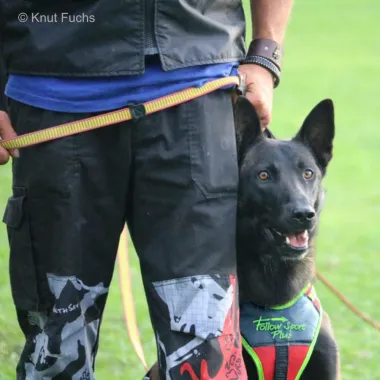 Dog Harness FOLLOW "Sport Plus"