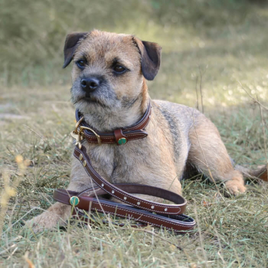 Halsung "STAR" Braun