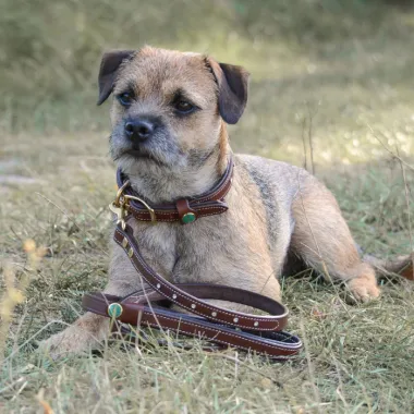 Lederleine "STAR" Braun