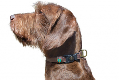 BioThane® Halsung „NOBLE“