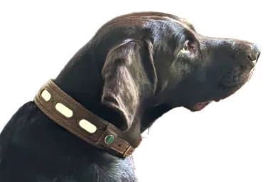 Leather Collar LICHTBLICK &nbsp;&nbsp;NEW