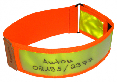 Warnhalsung Warnhalsung