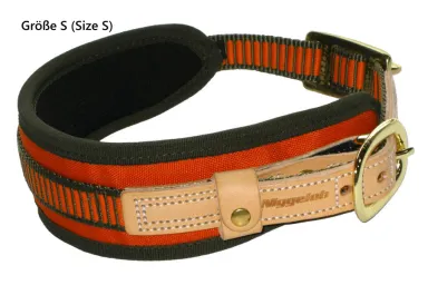 Blood Tracking Collar