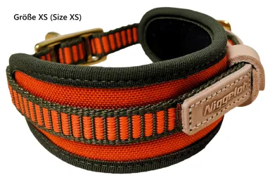 Blood Tracking Collar