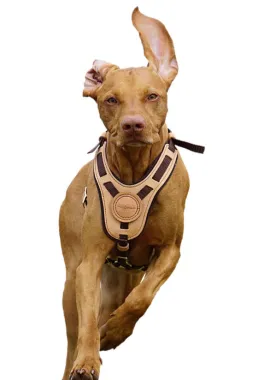 Dog Harness &ldquo;Mantrailing&rdquo;