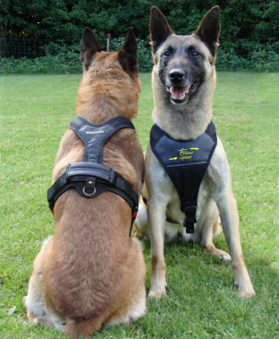 Hundeführgeschirr FOLLOW "Sport"