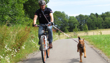 Umhängeleine STRETCH