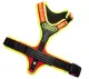 Dog Harness FOLLOW "Sport Plus"