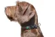 BioThane® Collar „NOBLE“